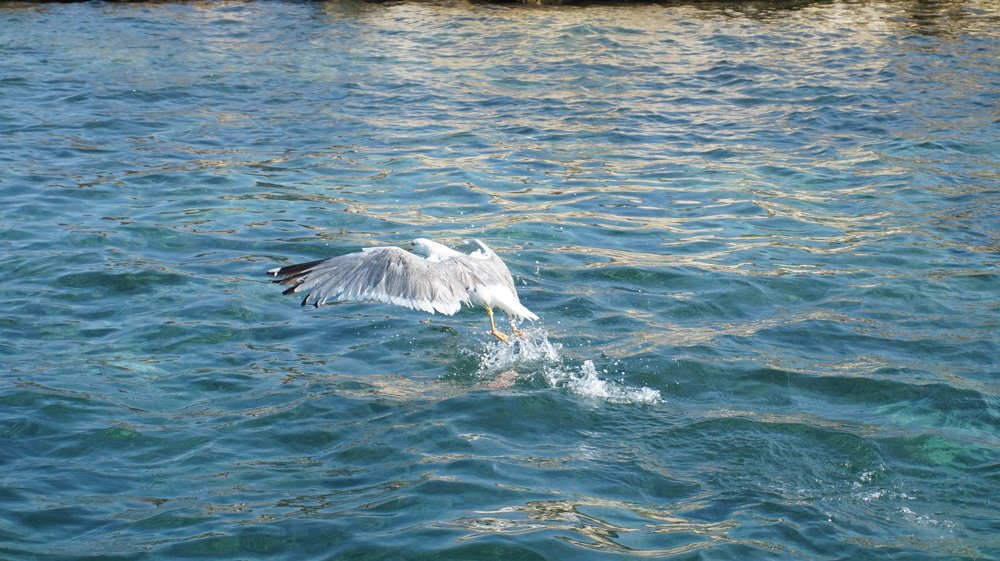 Photograph by Spiros Xenos