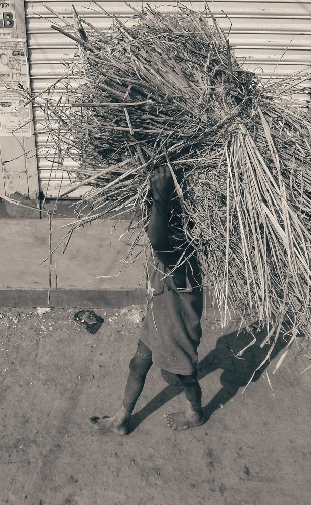 Photograph by Suresh Paul