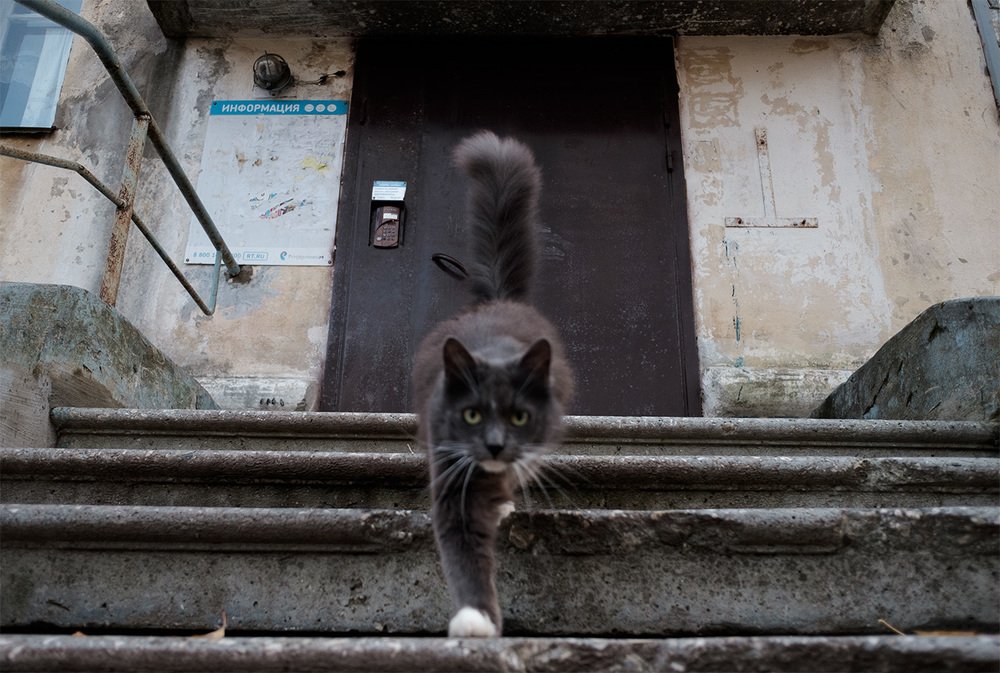 Фотография автора Александр Малафеевский