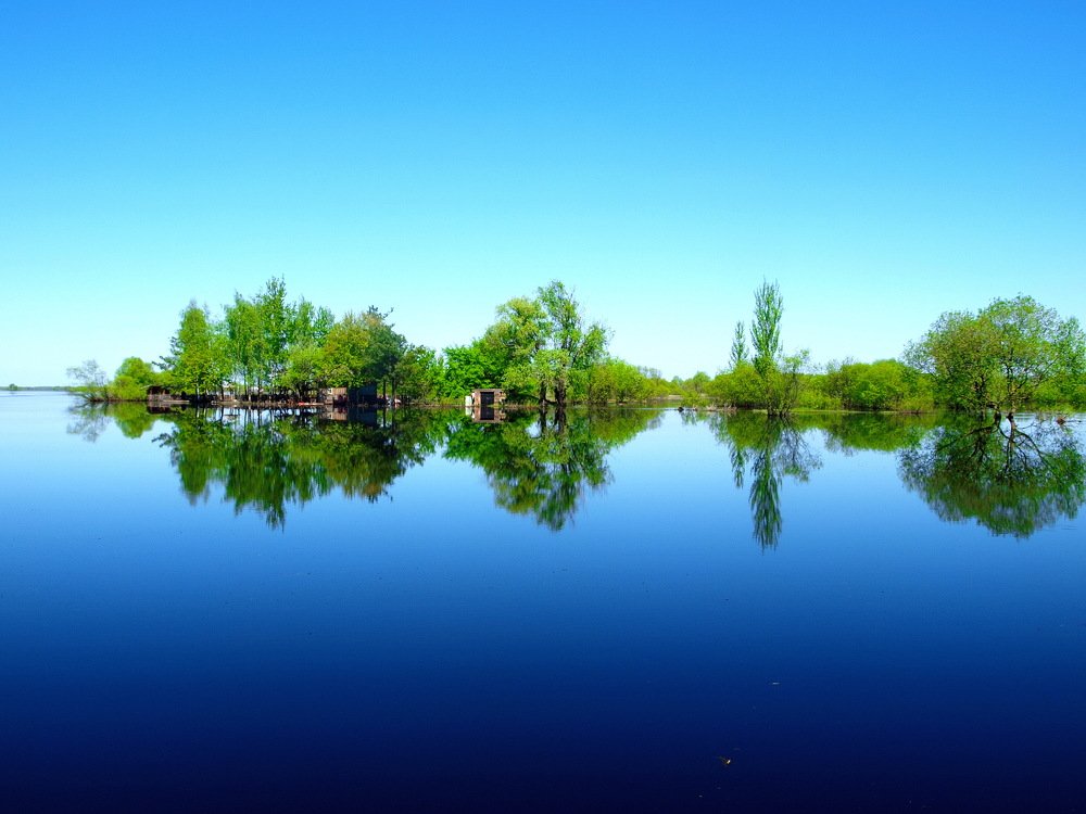 Фотография автора Игорь Чеботарёв