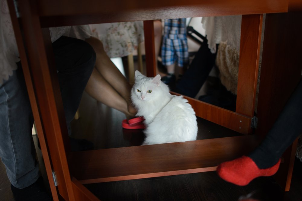 Фотография автора Александр Малафеевский