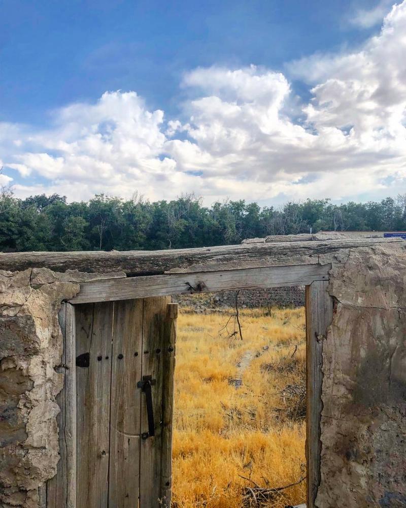 Photograph by salva Vakilzadeh