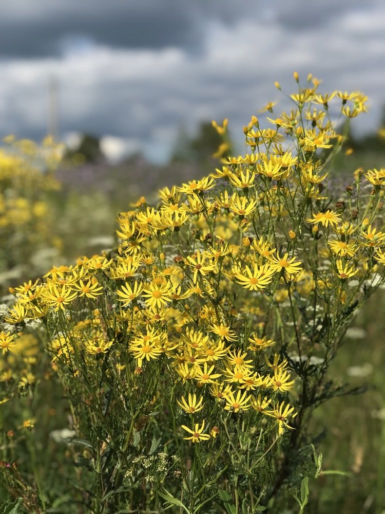 Photograph by Оксана Пахомова