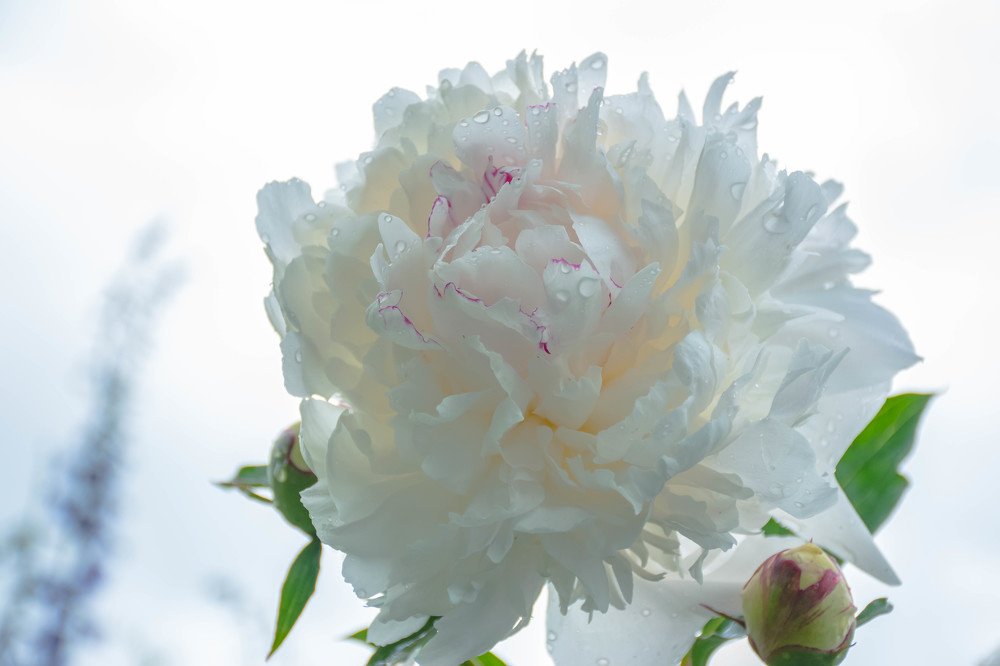 Photograph by Елена Прохорова