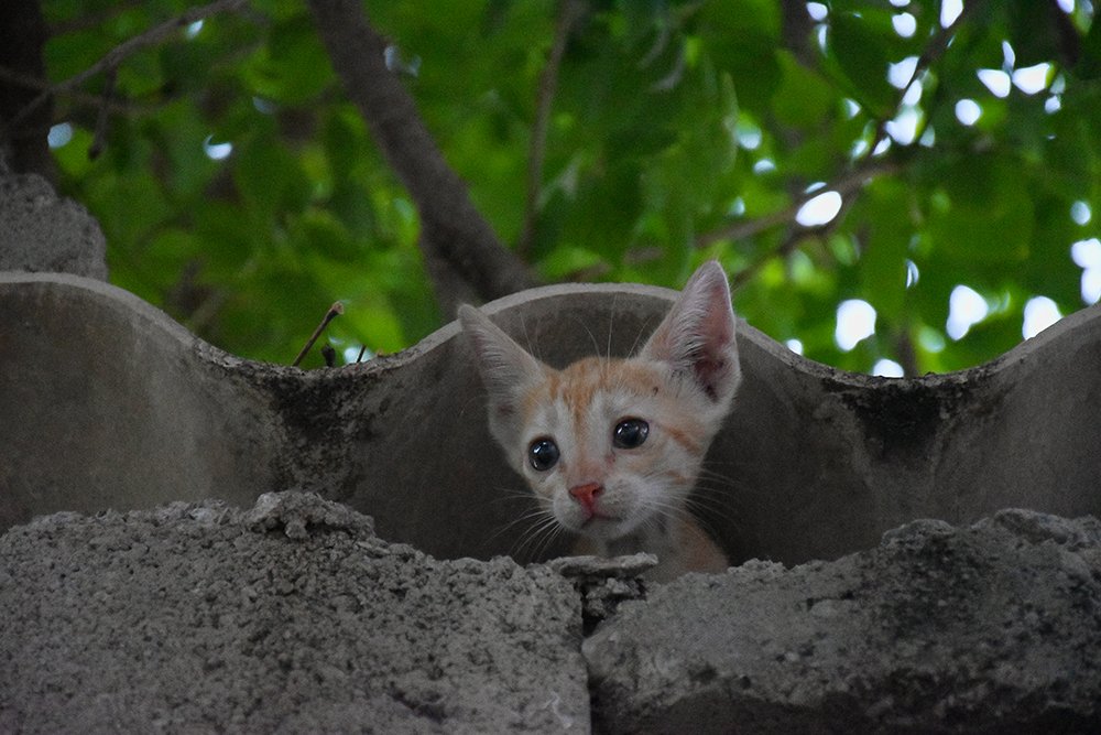 Photograph by  majid