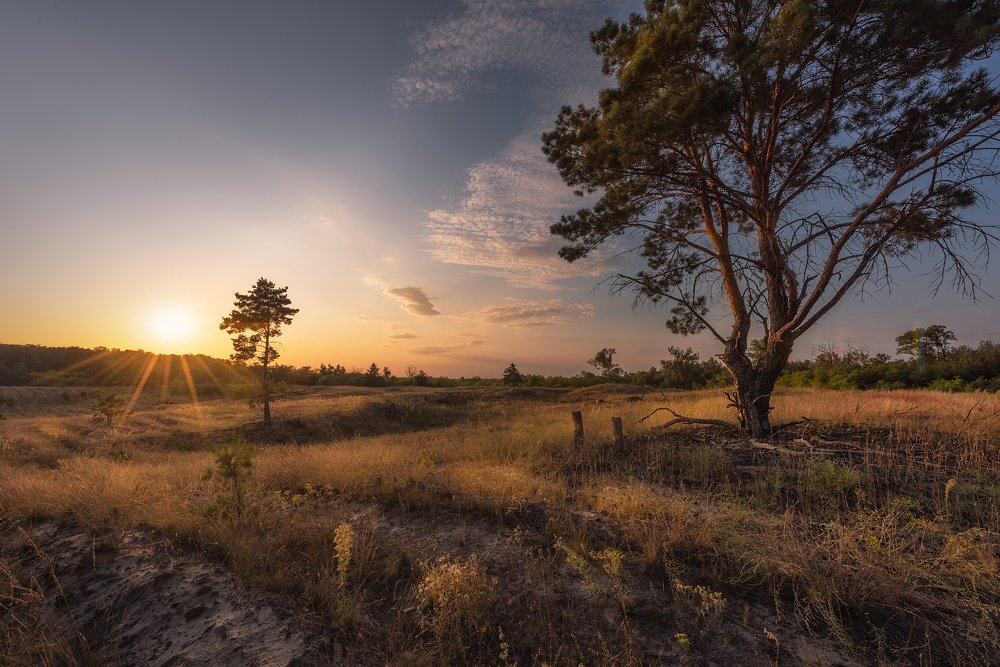 Фотография автора Андрей Жила
