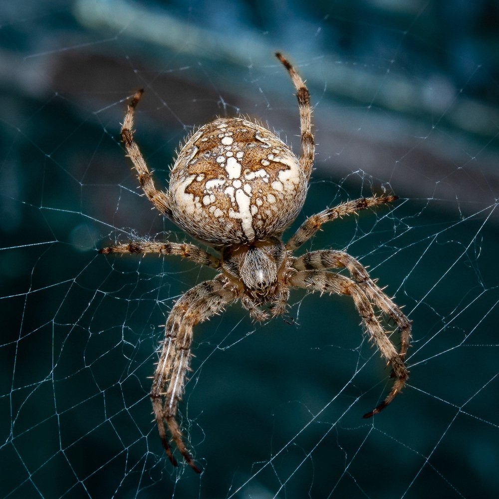 Photograph by Константин Усов