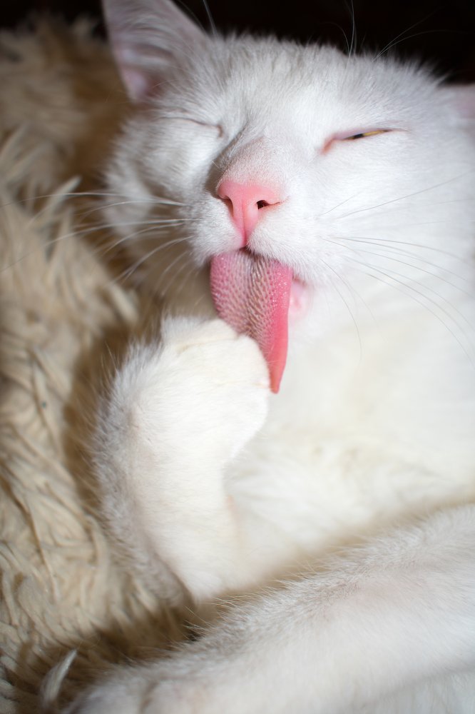 Photograph by Ксения Страх