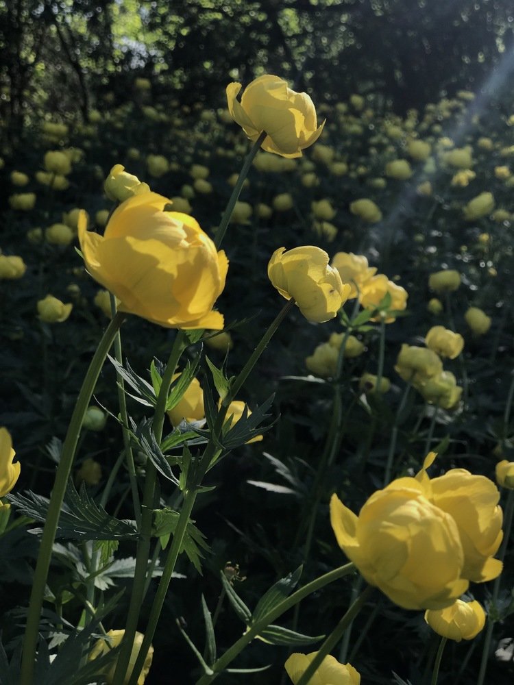 Photograph by Оксана Пахомова