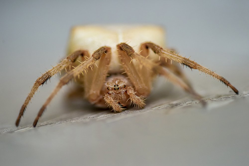 Фотография автора Владимир Пронин