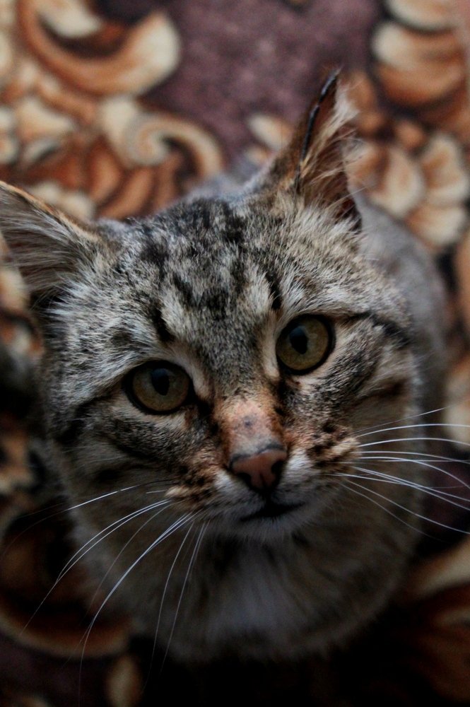 Photograph by Игорь Улитин