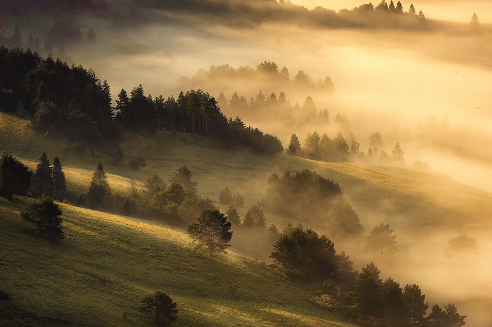 Photograph by Tomasz Madejski