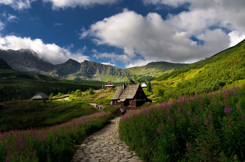 Photograph by Tomasz Madejski