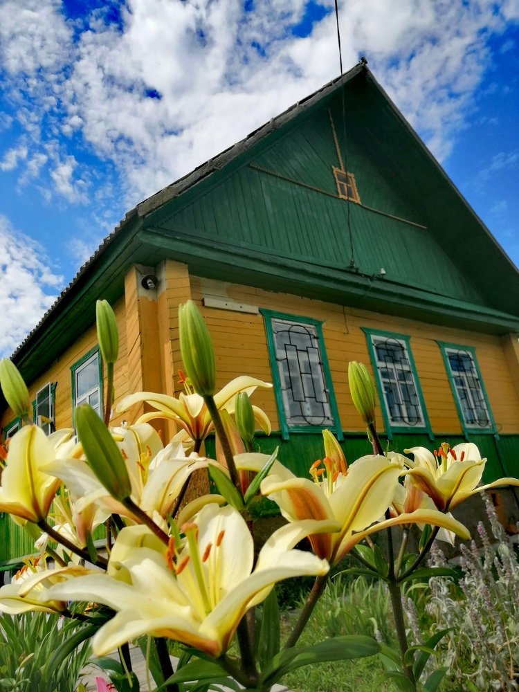 Photograph by Михаил Бородкин