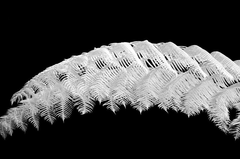 Photograph by Ages ragil