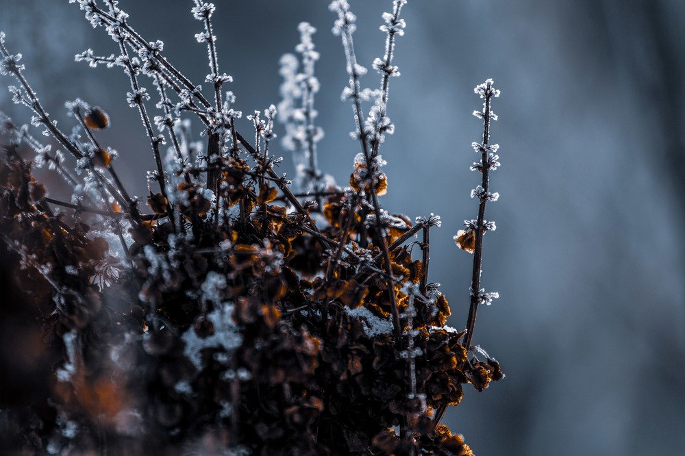 Photograph by Иоанн Степанченко