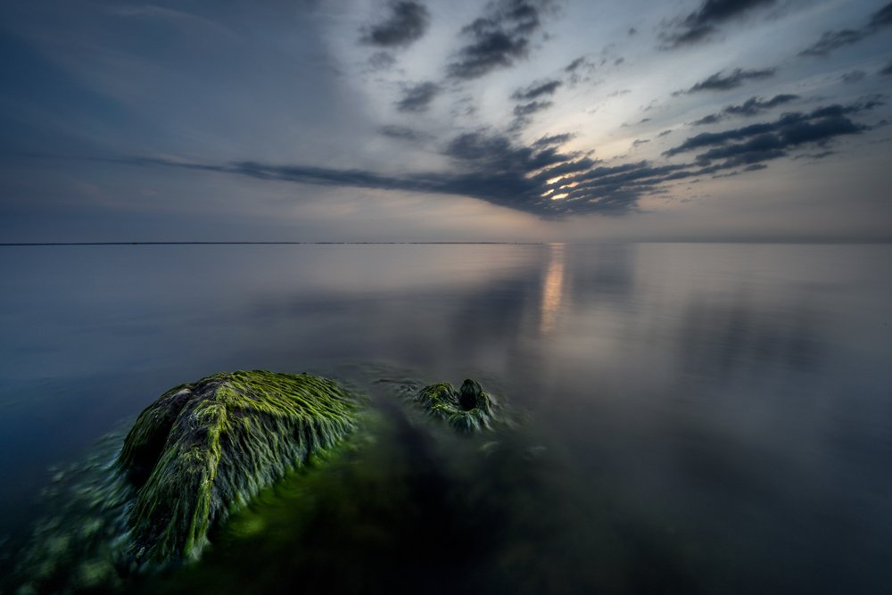 Photograph by Patryk Janota