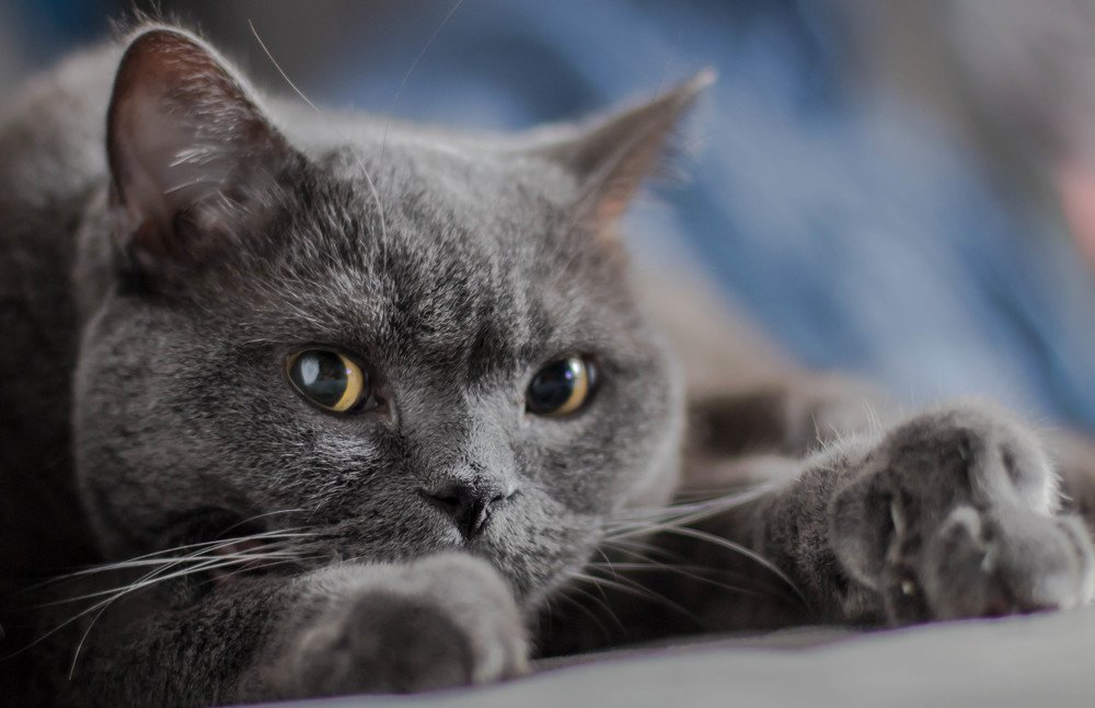 Photograph by Татьяна Мягкова