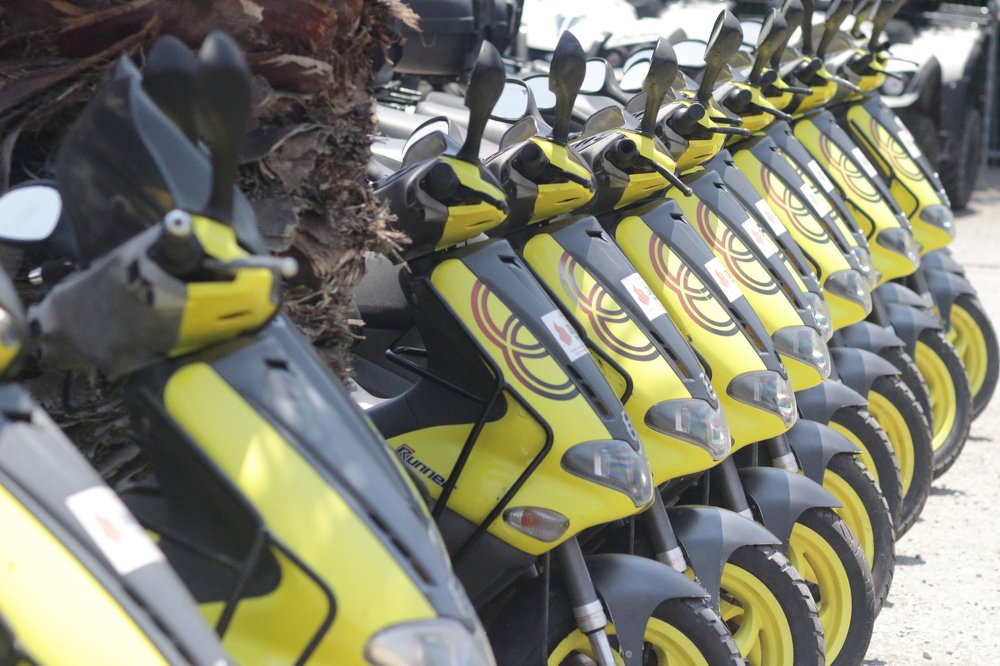 Фотография автора Светлана Саенко