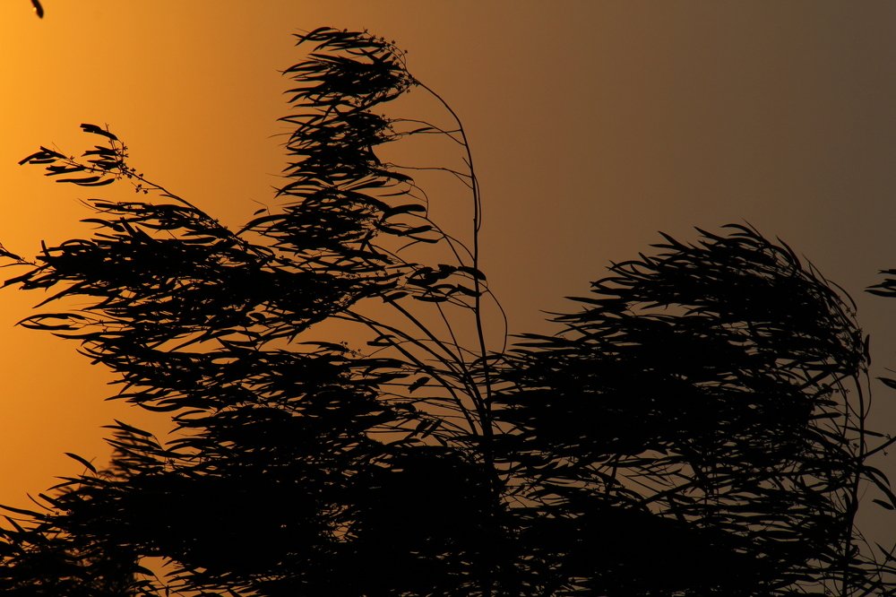 Photograph by Matineh Ahmadi