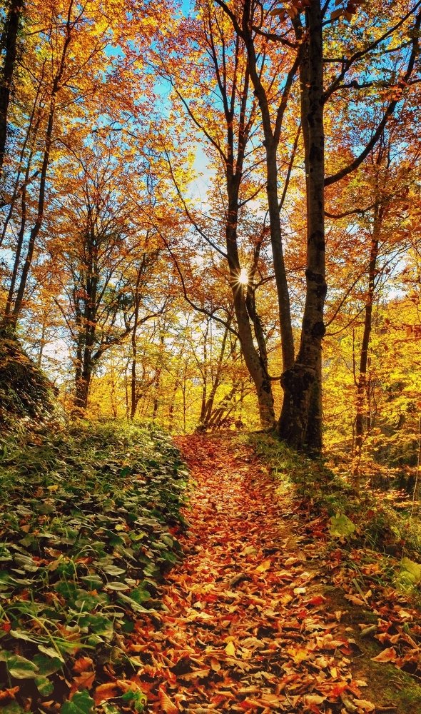 Photograph by Олеся Федосеенкова