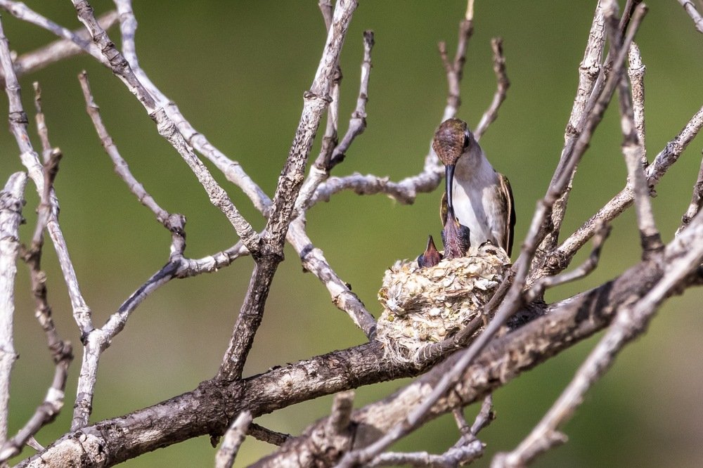 Photograph by Miguel Diaz