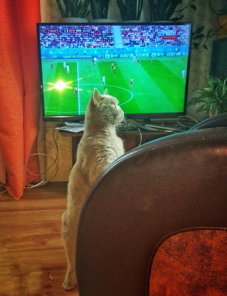 Photograph by Михалыч