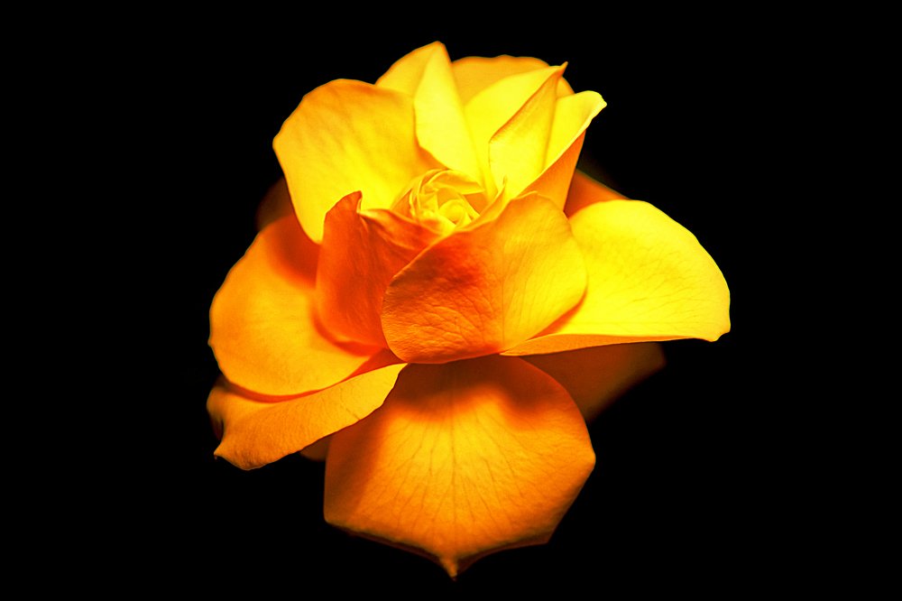 Photograph by MIO photography