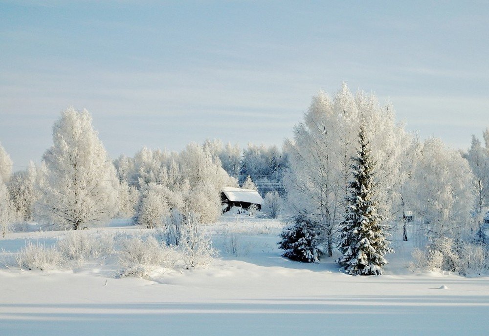 Photograph by Ольга Рогова