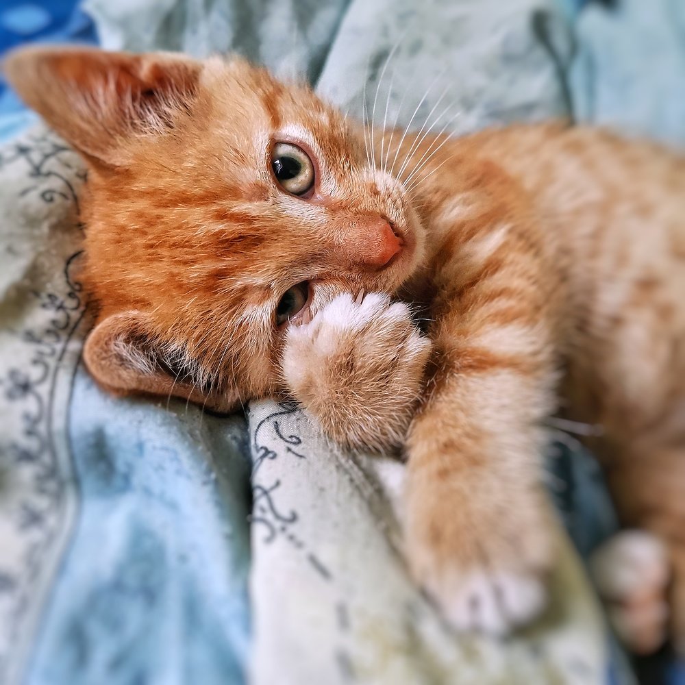 Photograph by Валерия Афонасьева