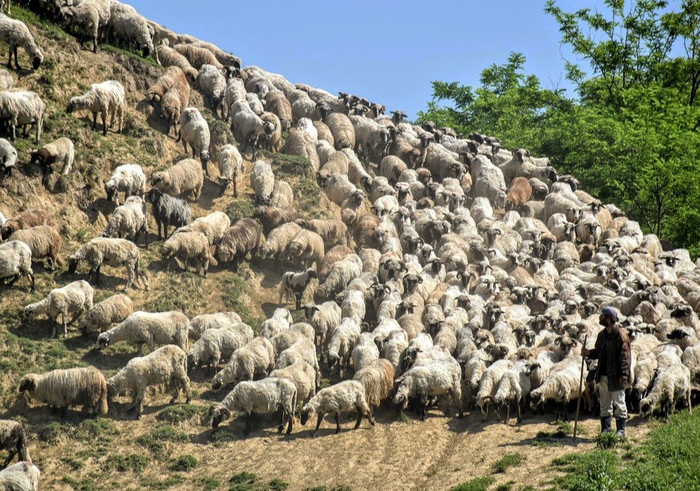 Photograph by Dara Stojković