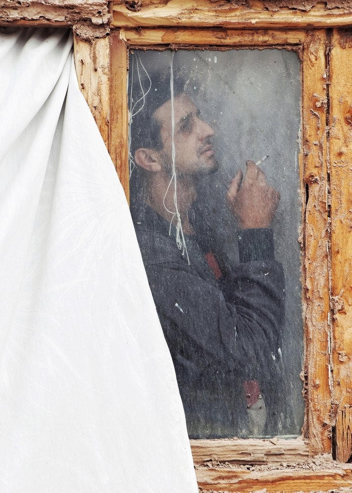 Photograph by Alireza Zargarchi