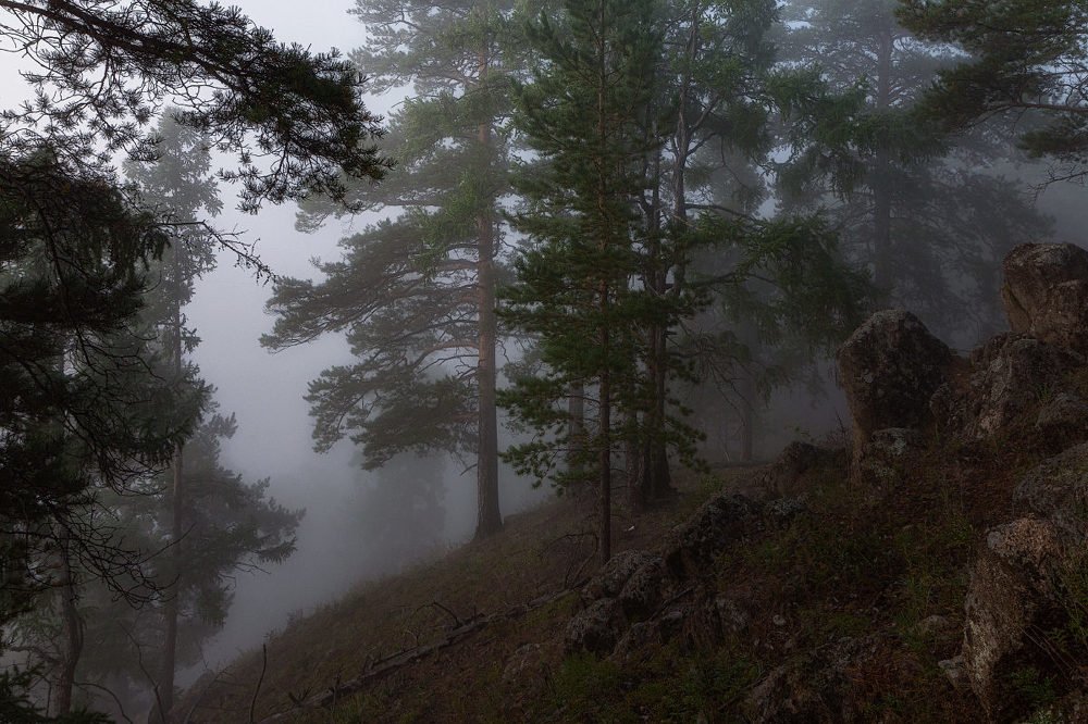 Photograph by Владимир Климов