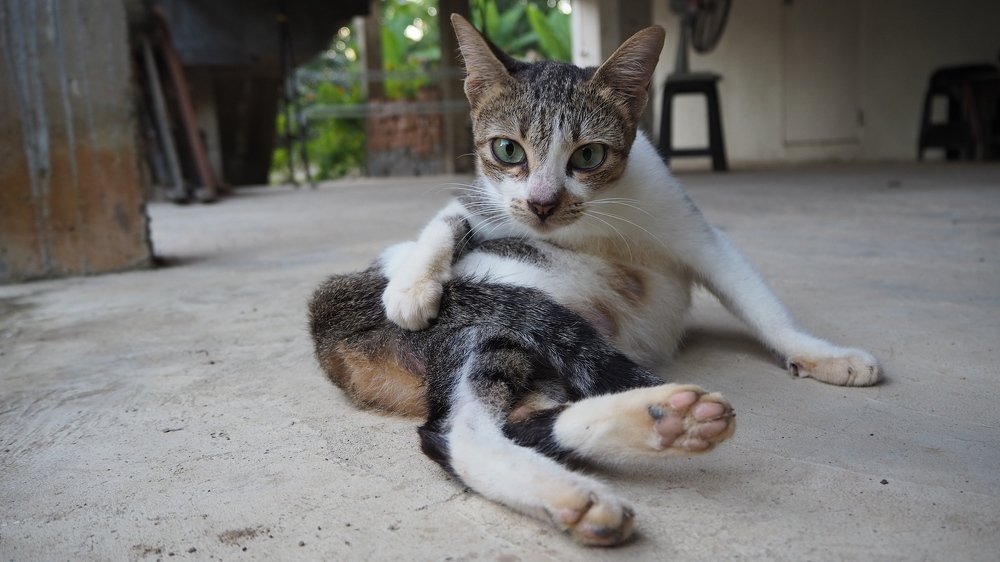 Photograph by Marianie Joanes