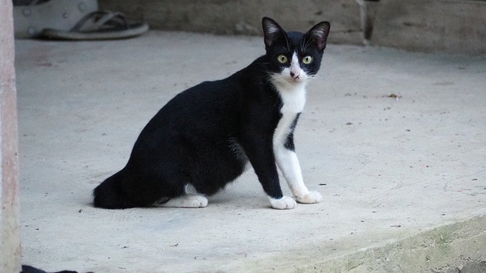 Photograph by Marianie Joanes