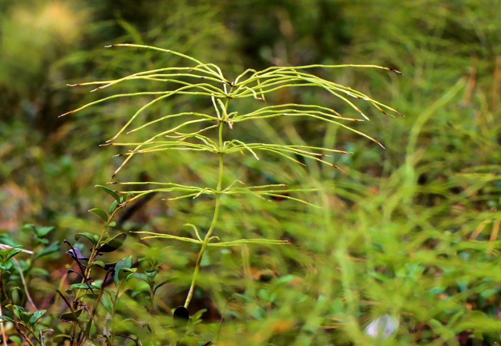 Photograph by Александр Шипиленко