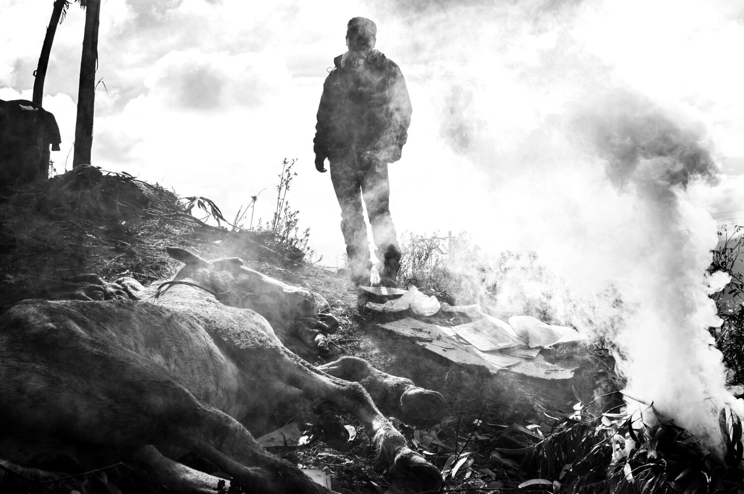 Photo #3557036