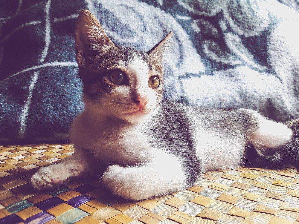 Photograph by Jear Cautivar