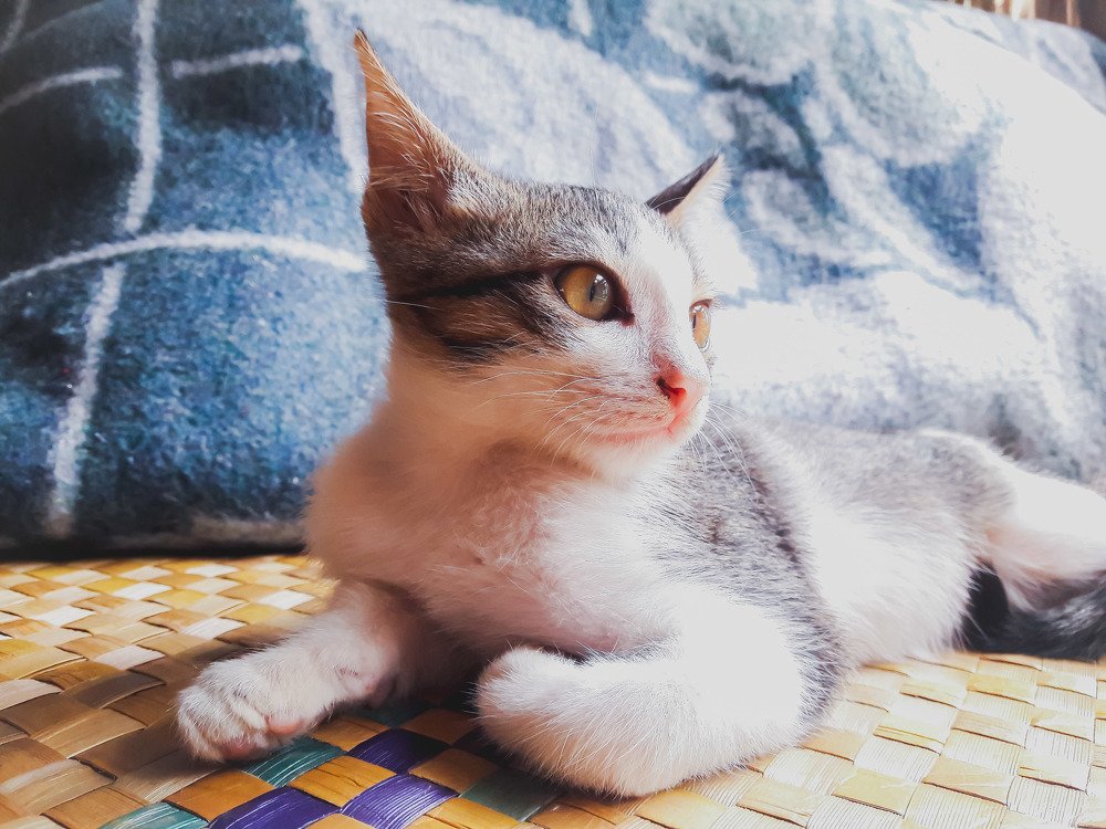 Photograph by Jear Cautivar