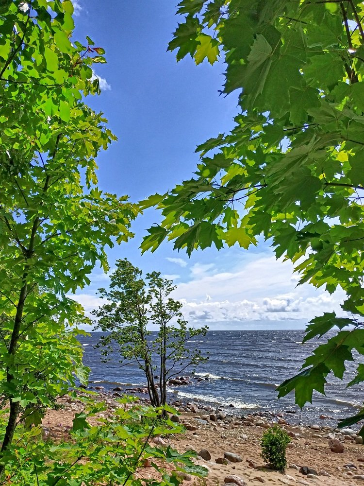 Photograph by Екатерина Бевзенко