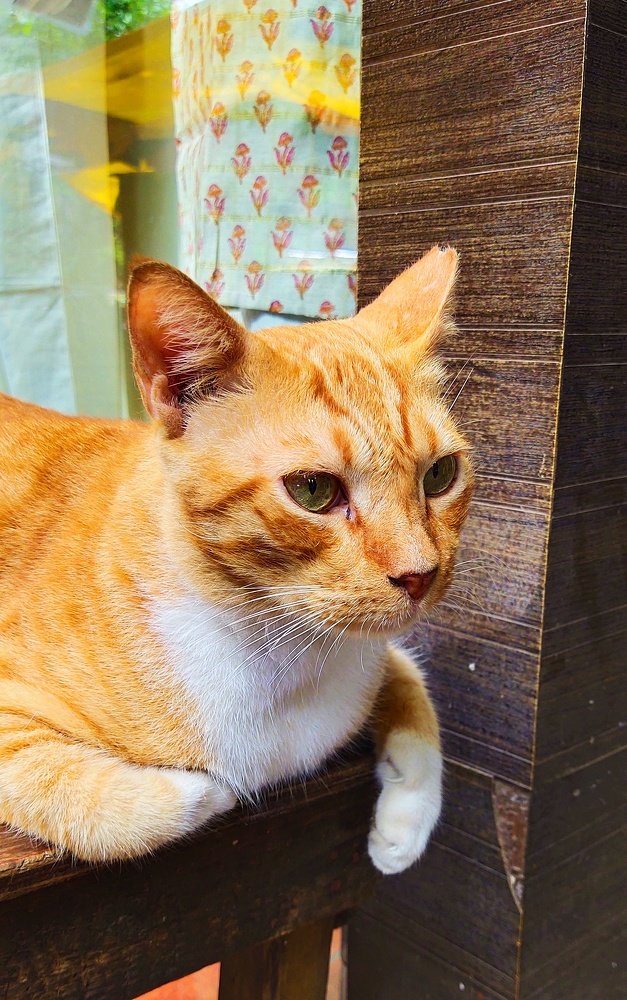 Photograph by Jayant Movaliya