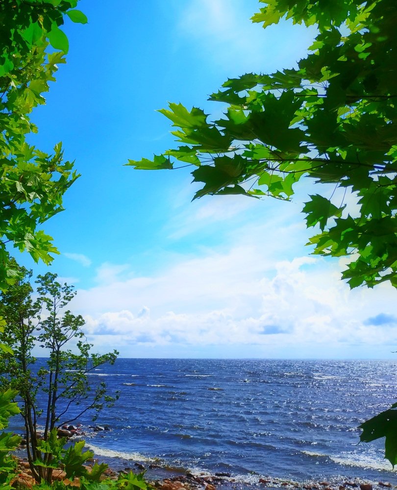 Photograph by Екатерина Бевзенко