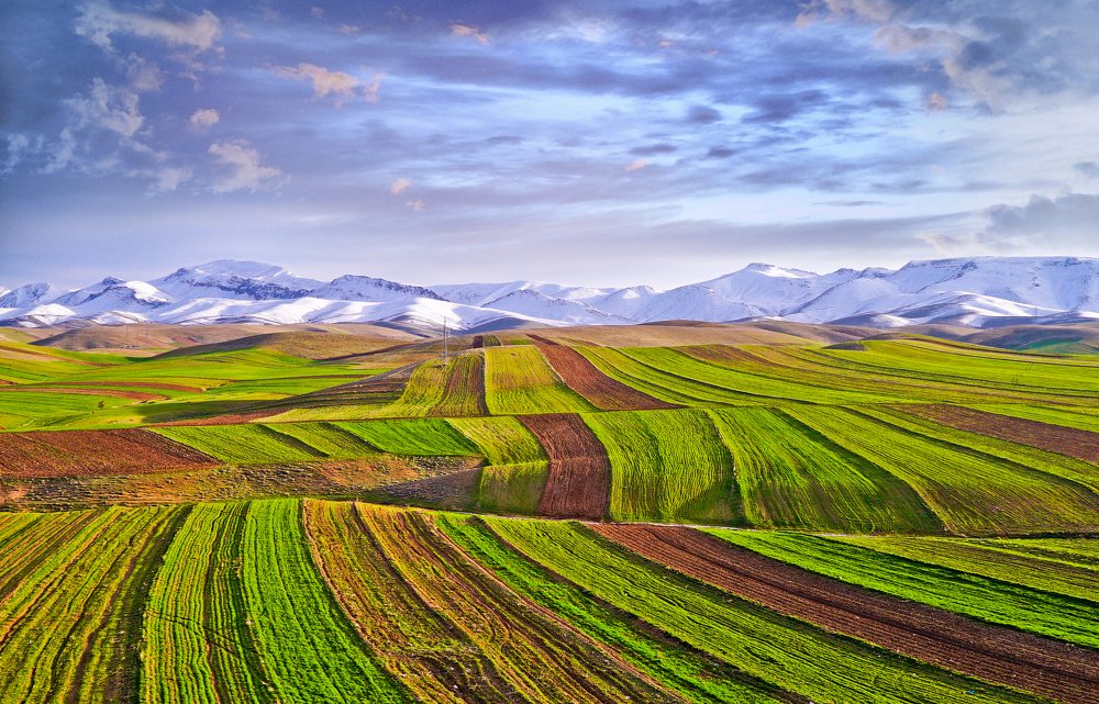 Photograph by Iraj Jabbari