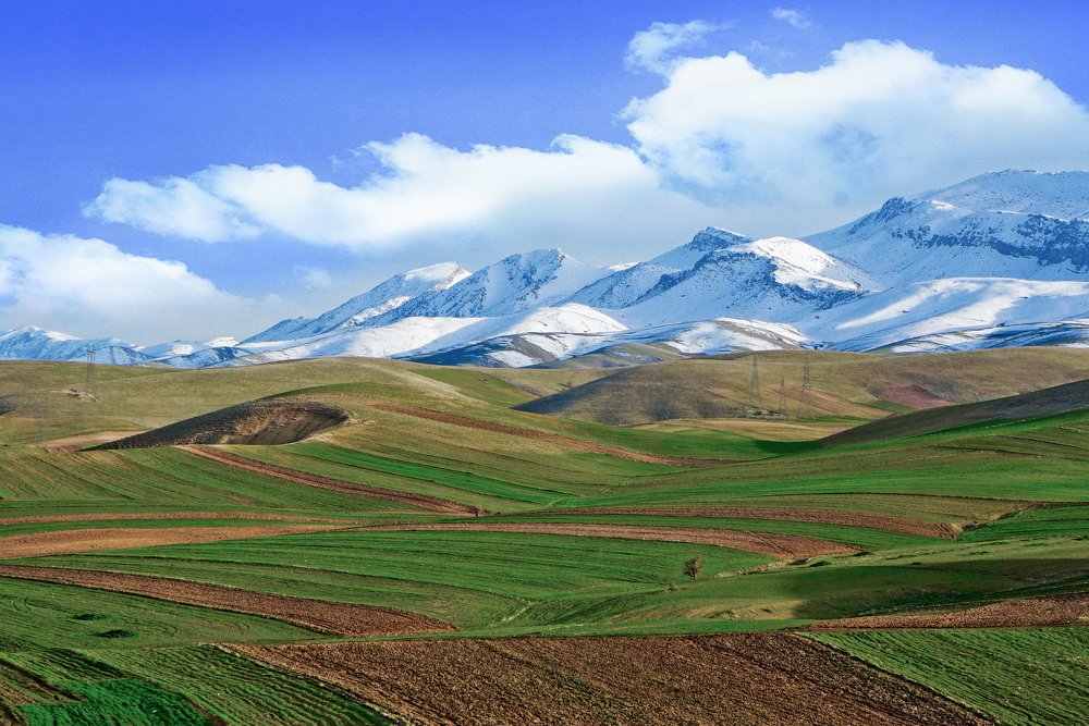 Photograph by Iraj Jabbari