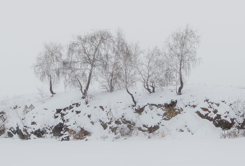 Photograph by Инна Макеева