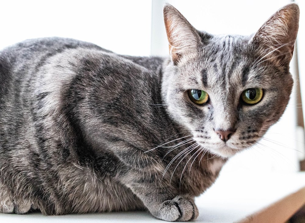 Photograph by Терентьев Георгий