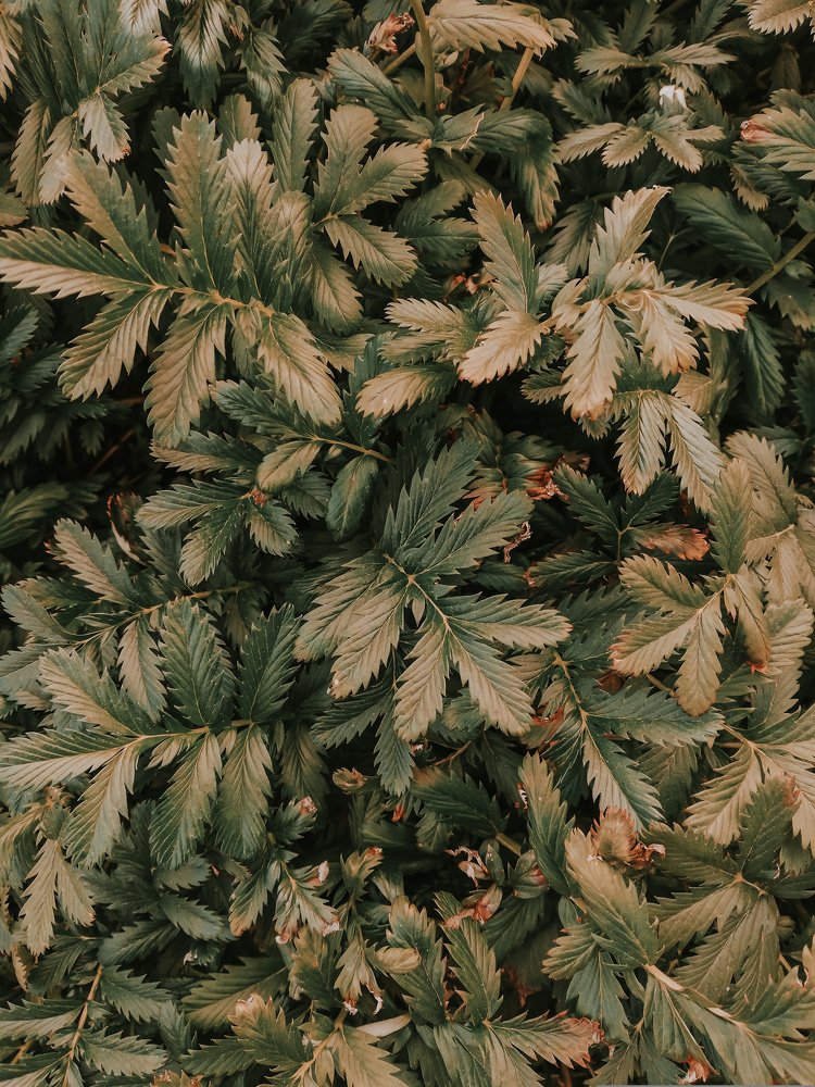 Photograph by Оксана Лобанова