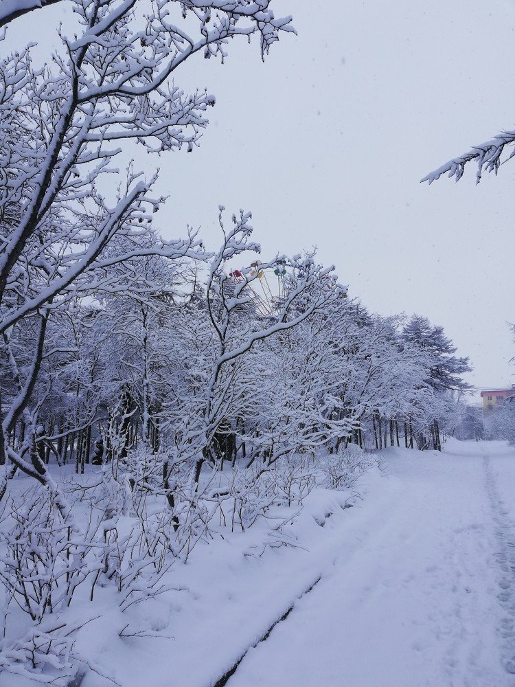 Photograph by Оксана Лобанова