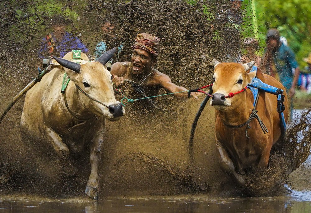 Photograph by Firman Hakim