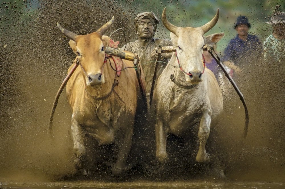 Photograph by Firman Hakim